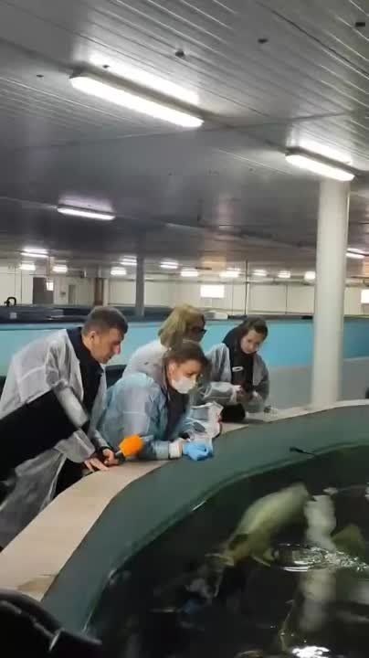 ���������������� �������� �� ���������