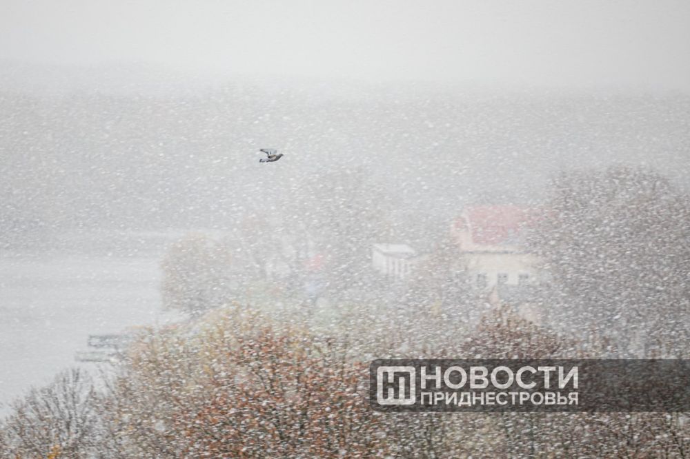 ����, ��������, �������� �������������� ��� � �������� �������