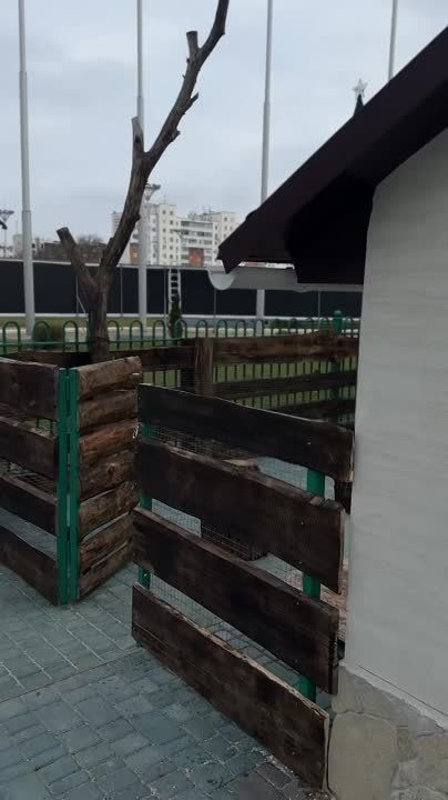 ����� �� �������� ����������� ����� �������