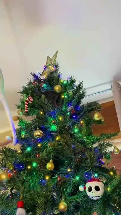 ���������� ������� ������ ���� ��� ��������� ���������� ����: