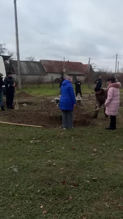 � ��������� ����������� ���������� �������