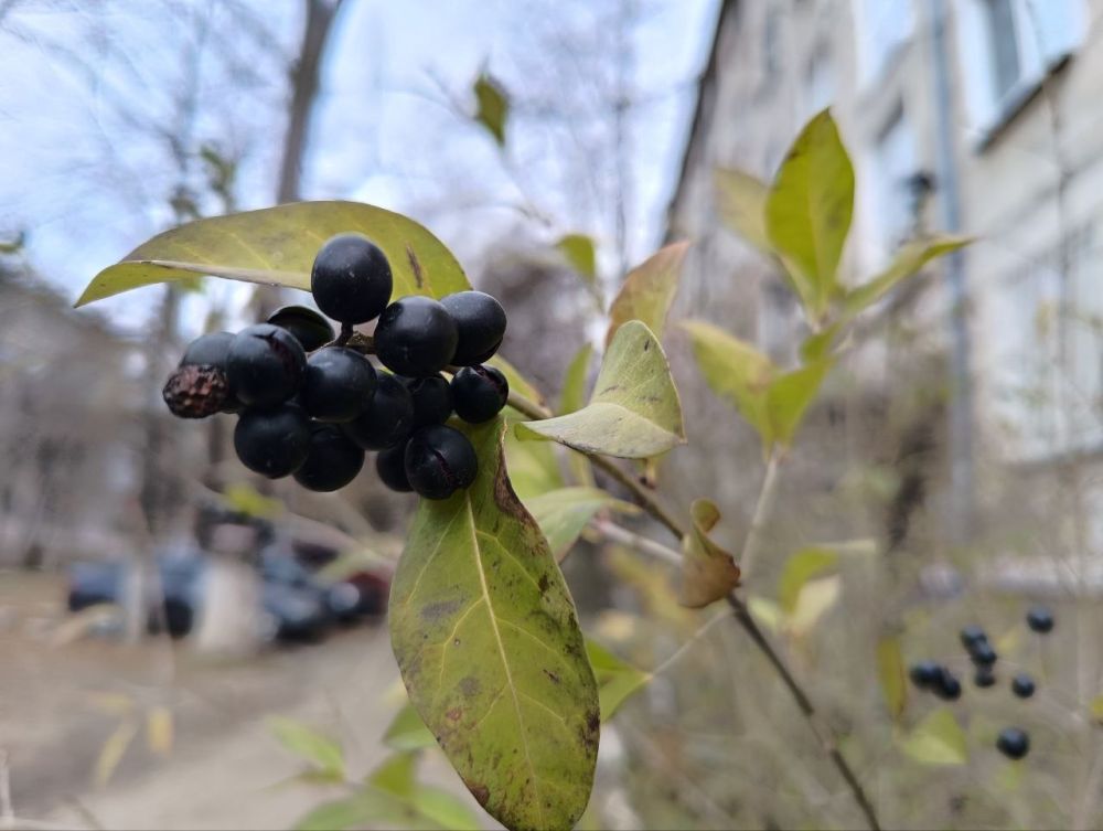 ��� �������� ��������� ����� �� ����� �� � ��, 6 ������� ��������� �������� ������, ���� ������� ������ ������ � ���� ����� � ������� �����