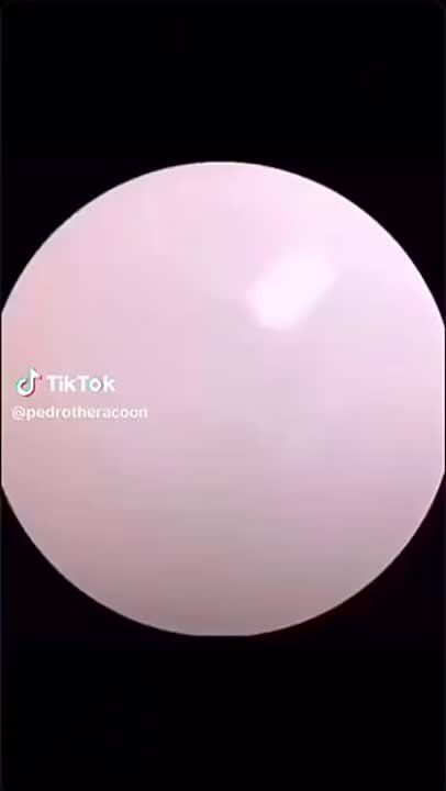 ����� ����� ������� ������ ���-����� � ������ 2024 ����