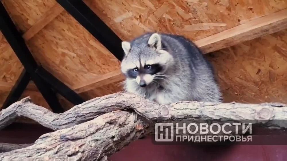 �������� �������� � �����-����� ���������