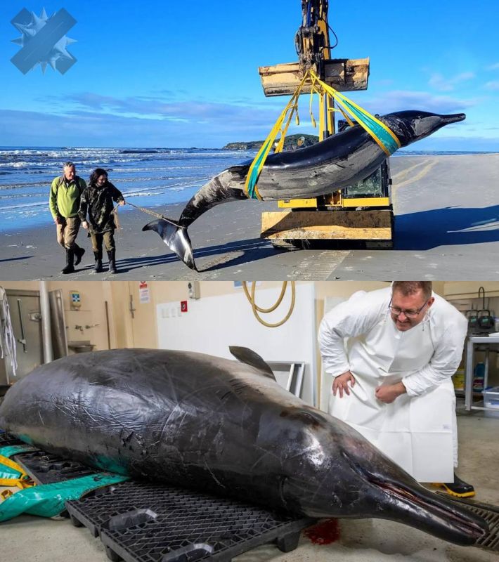 �� ������ ����� �������� ���������� ����, ��� �������� ������� ��������