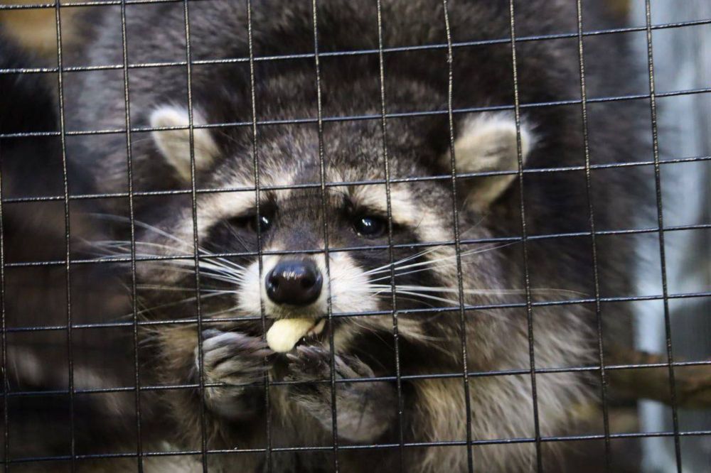 � ������� ������ ������ ����� � �����-����� ���������