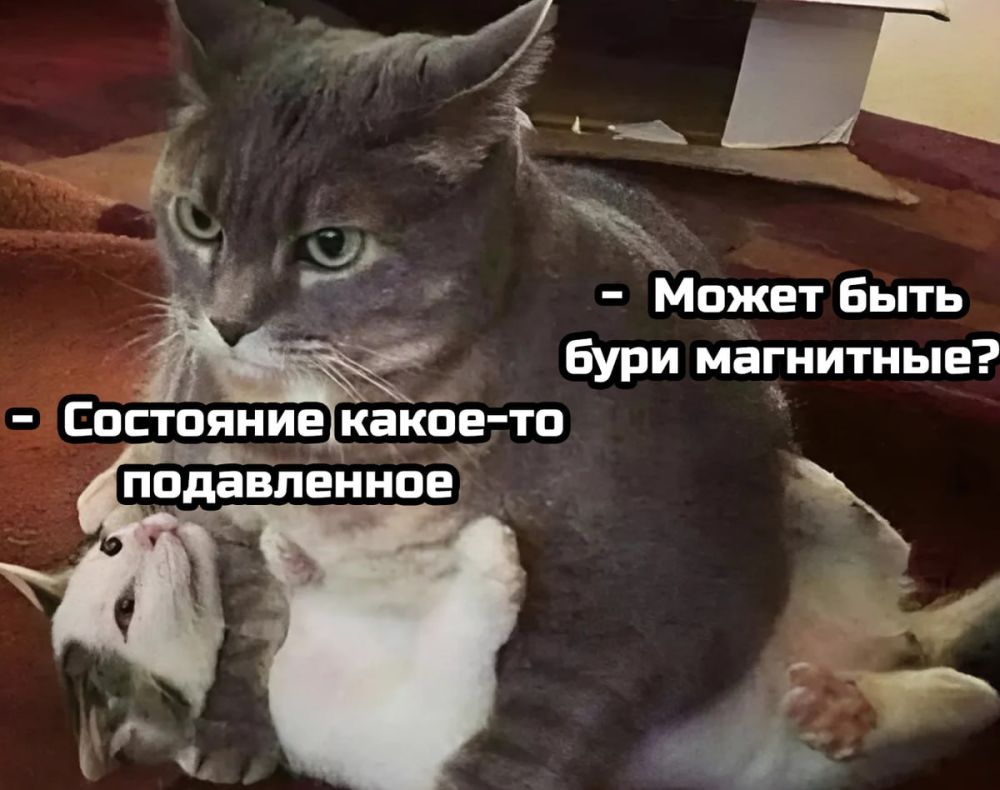 �� ����� ����������� ����� ��������� ����