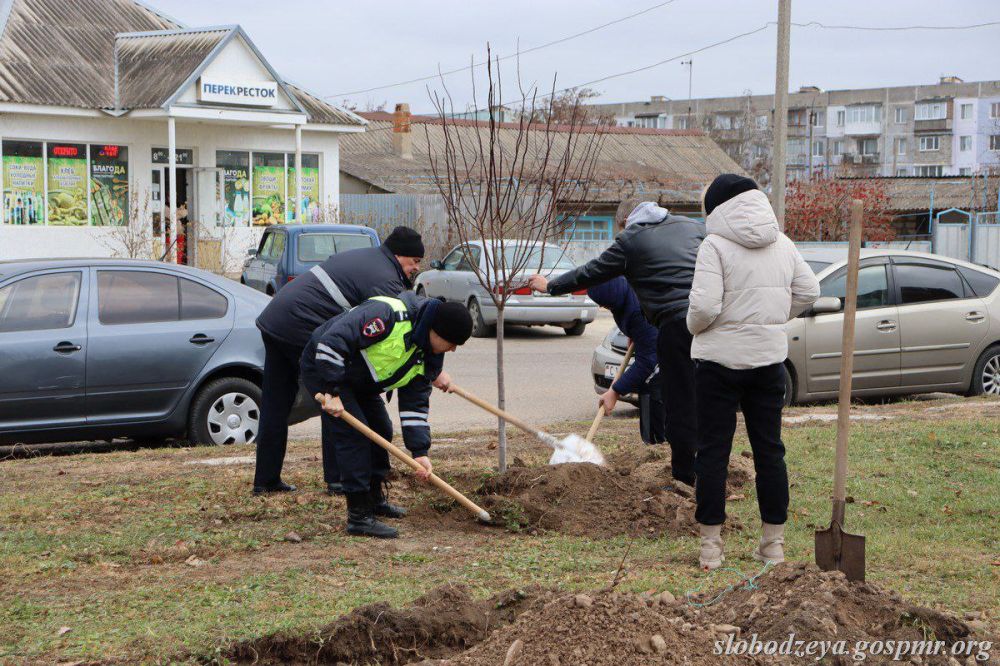 � ��������� �������� ����� ����� �� ����������� ���� ������������� � ������������