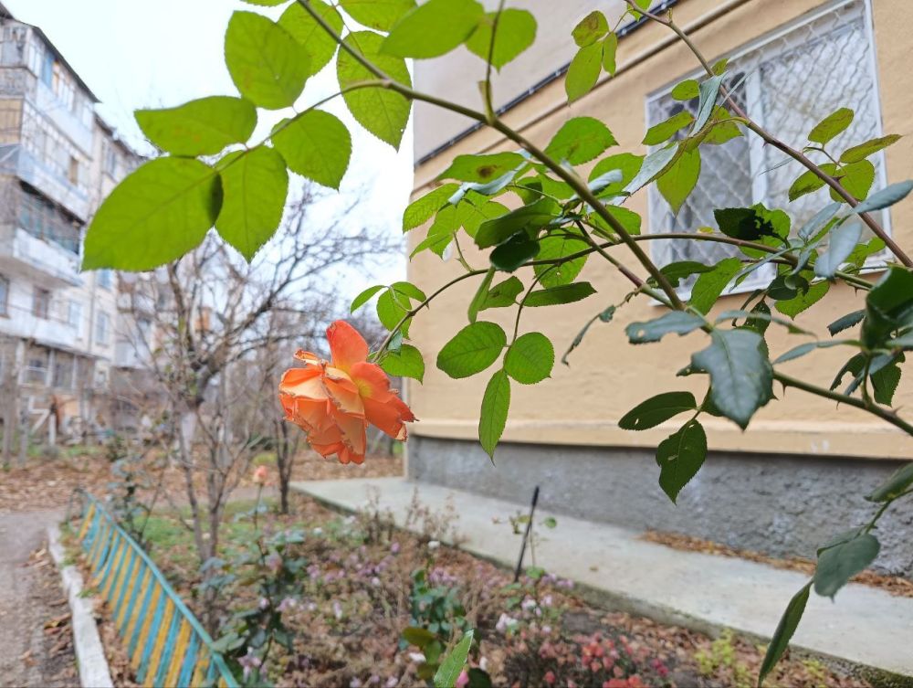 ��� ����� �������?. ����� ����������, ��������������� � �������� ������� ����