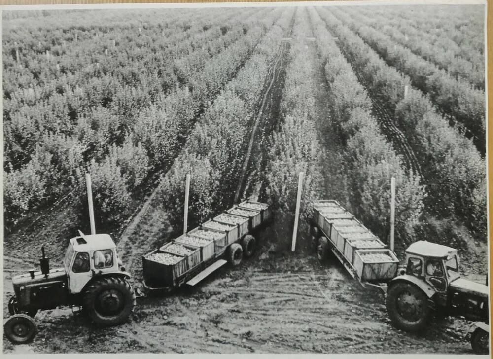 ������������ ������������ ��� ������� ������