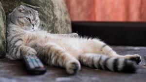 ����, ����� ����� � ������ �������� ��������� ���� ������� ������������ � ����������� �������