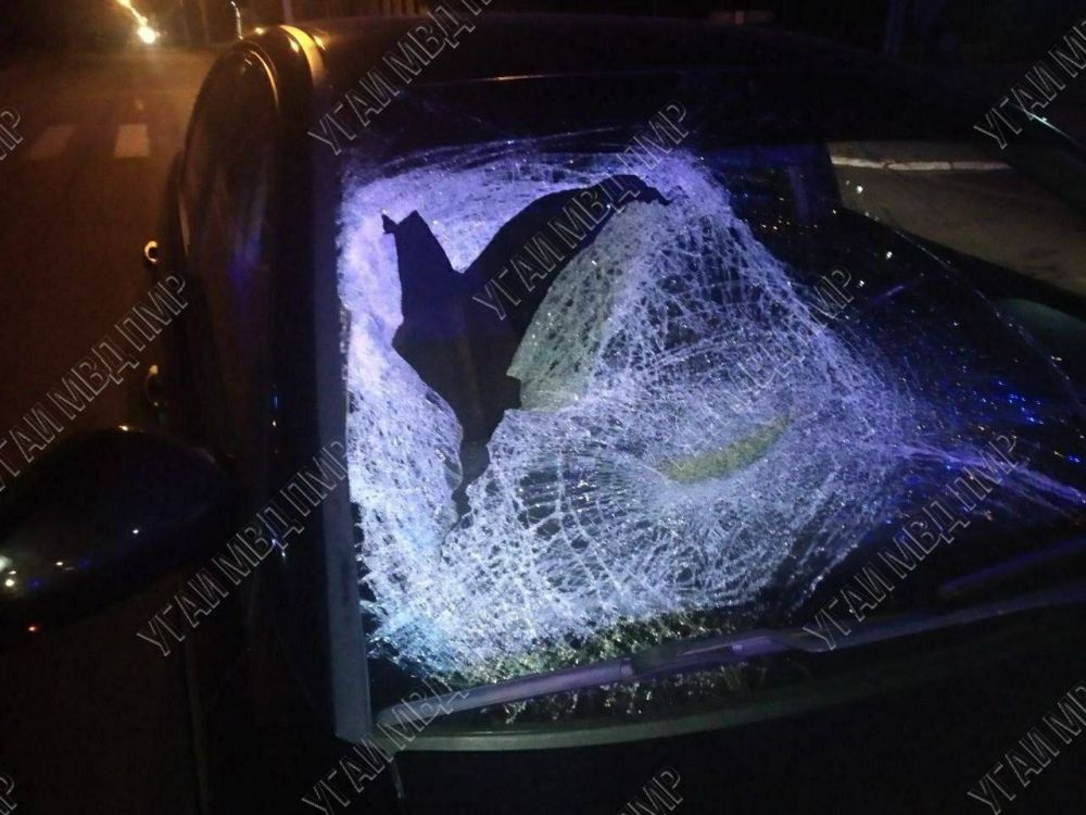 � �������� ������� ��������� ������ ���, ��� ������, � ��� ����� ������