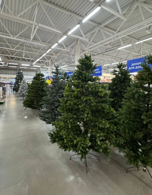 ������� ���� � ����������� ������