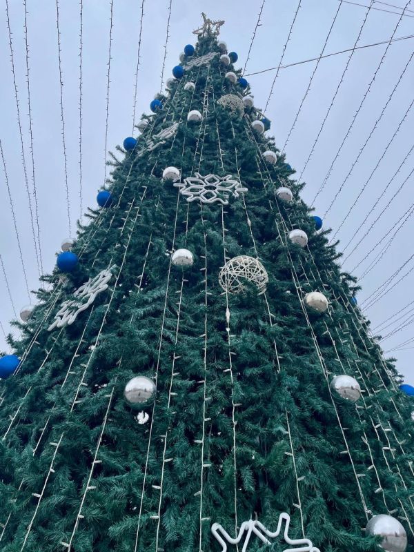 Уже сегодня в Днестровске состоится открытие новогодней ёлки!