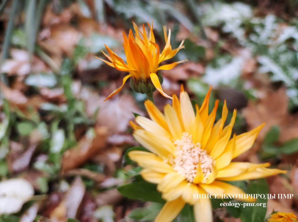 ������� ����!. ������� ������ �������, 6 �������, ��������� �������� ������, ���� ������� ������ ������ � ���� ����� � ������� �����