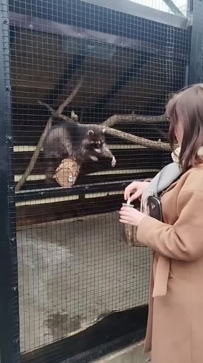 � �������������� ����� �������� ���������