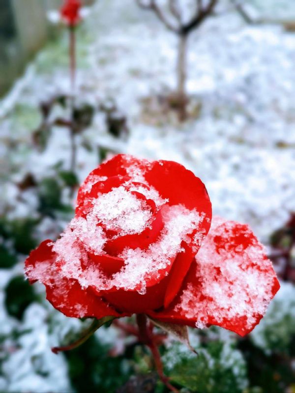 ���� ��� ������ � ����������