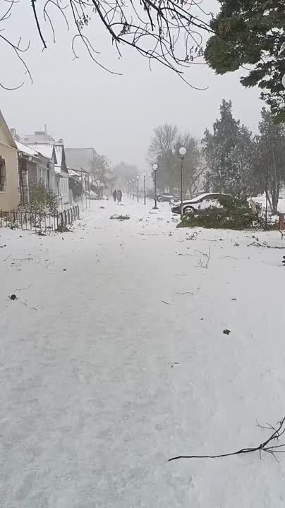 � ���-���� ���������� ������� �������� ����