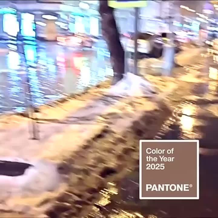 ���� ���� ����� ������ 2025