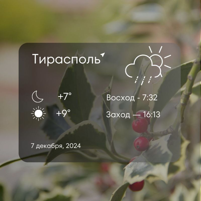 ������ �� �������