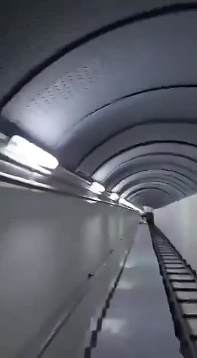 ����� ������� ����� ������