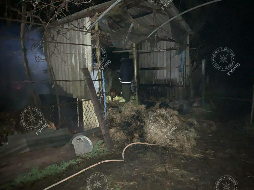 300 ����� ���� � 80 ����� ������ ������� ����� � ����������