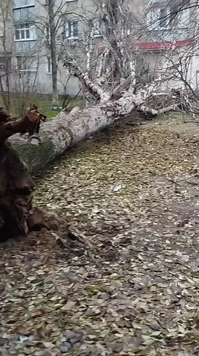 � ��������� �� ����� ���� �� ��. ��������� ����� ������