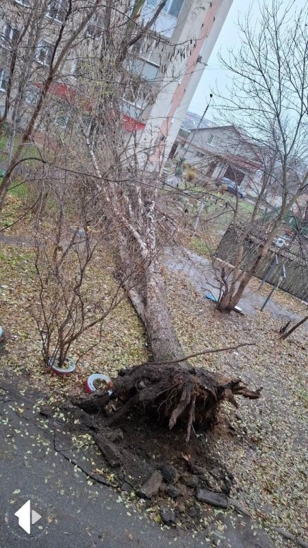 �� ����� �� ��. ��������� ����� �������� ������