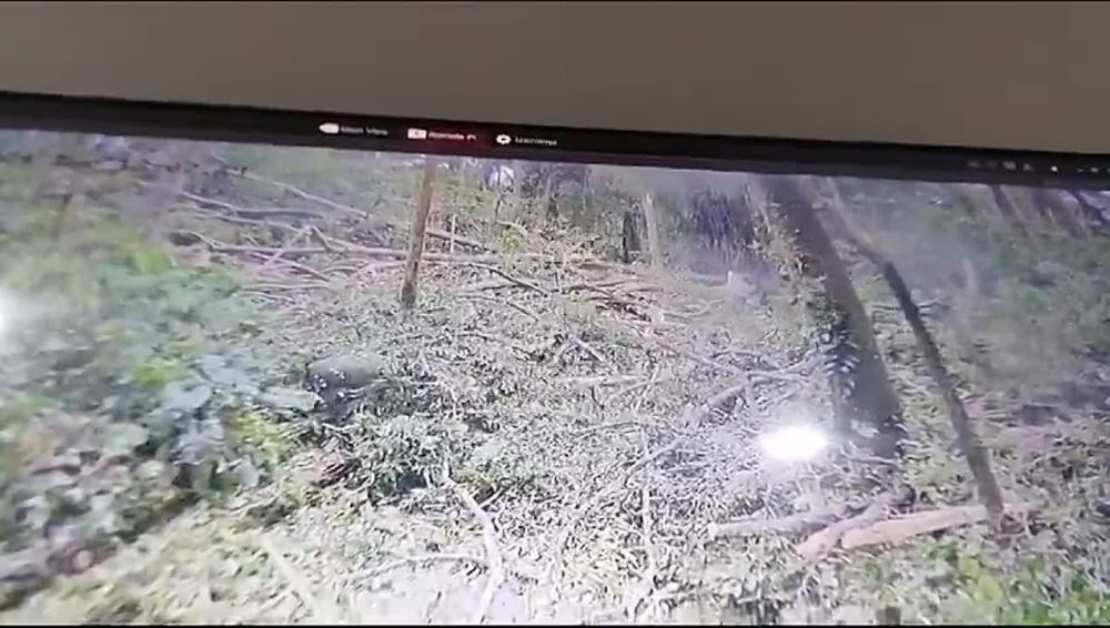 �������� ������ ������� �� ����� �������� � ��������� ��������� ������� �� ����