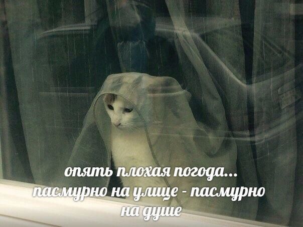 �� ��� ��� � ������������� ������ �������� ����� �������