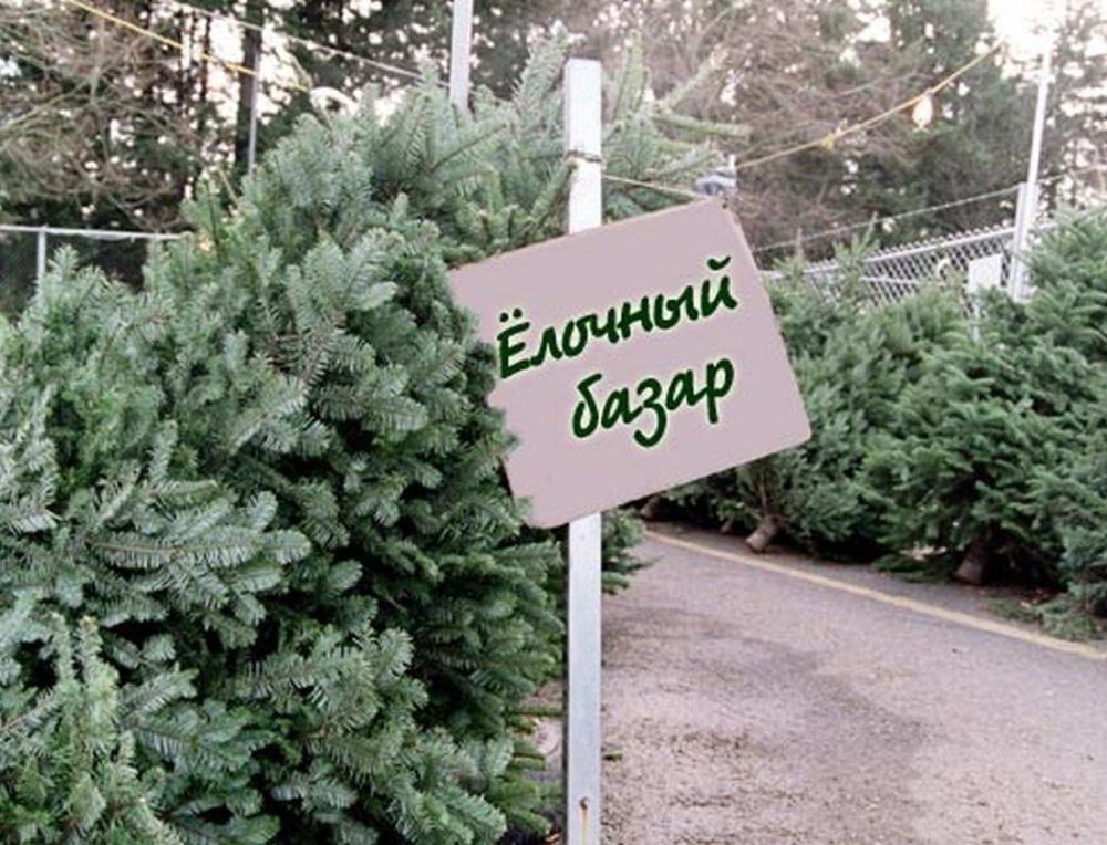 ������� ������ ��������� � ��������� 20 �������