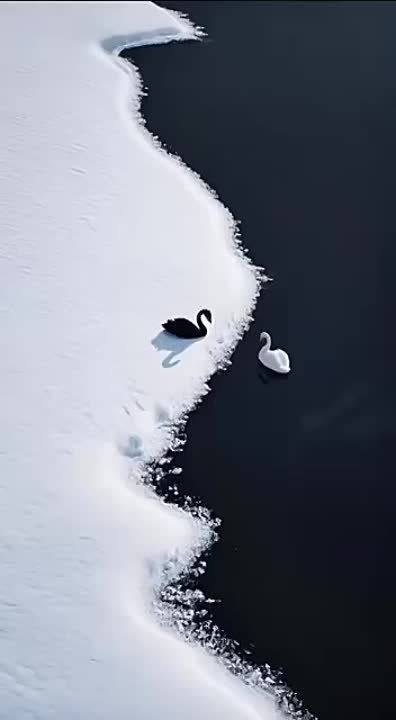 ������������ ����� �� ��������