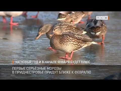 ����� �� ����� ������� � ������, ����� ������������� ����� �������� ��� ����, �� �������� � ��������� ��������������