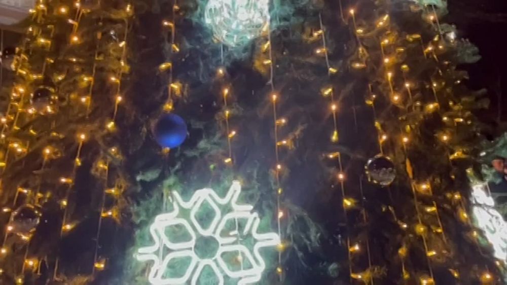 В Днестровске на открытии ёлки огромный хоровод