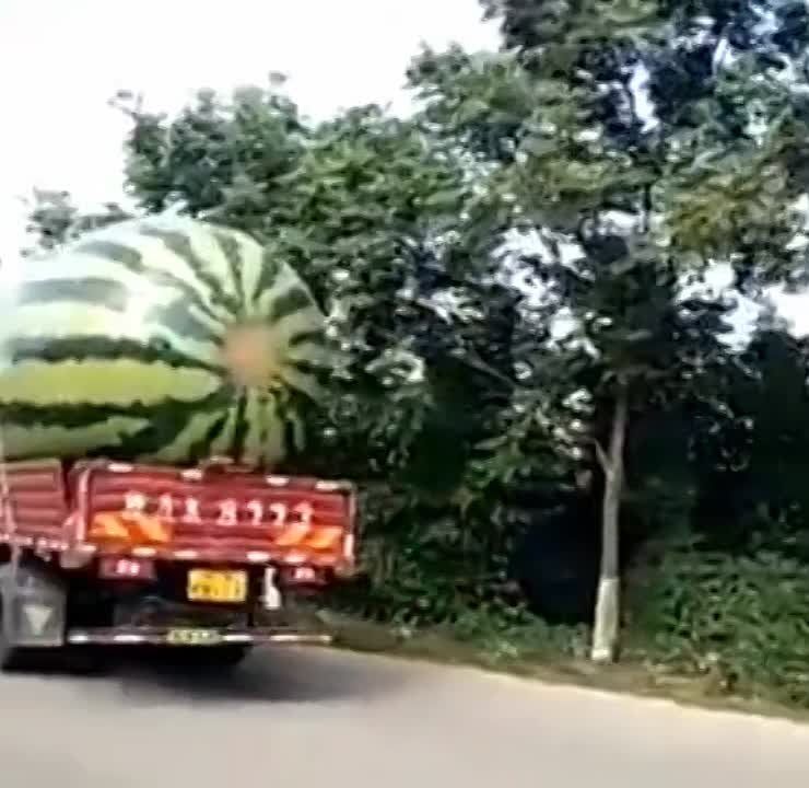 � ������������ ����������� ���� ������� ������ ���������