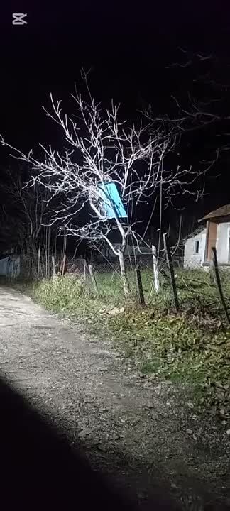 ��� ���� ����� �� �������