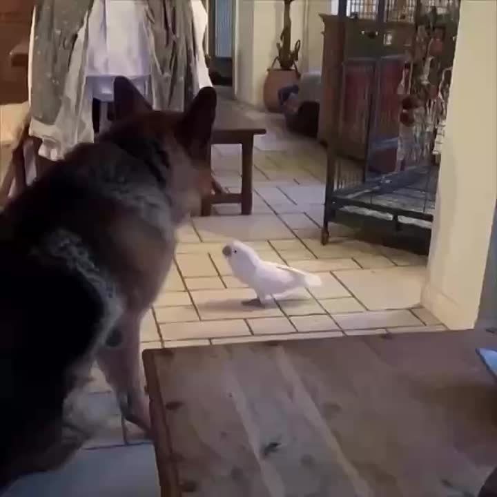 ��������: ����� ������ ������� �������