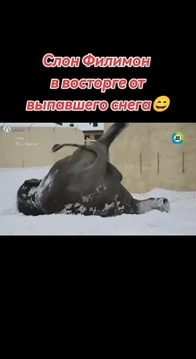 ���� ������� �� ���������� �������� ������ ����