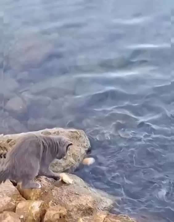 ����� �� ����� "��� �� � ���� ����� ���, � �� � �� ������� �������"