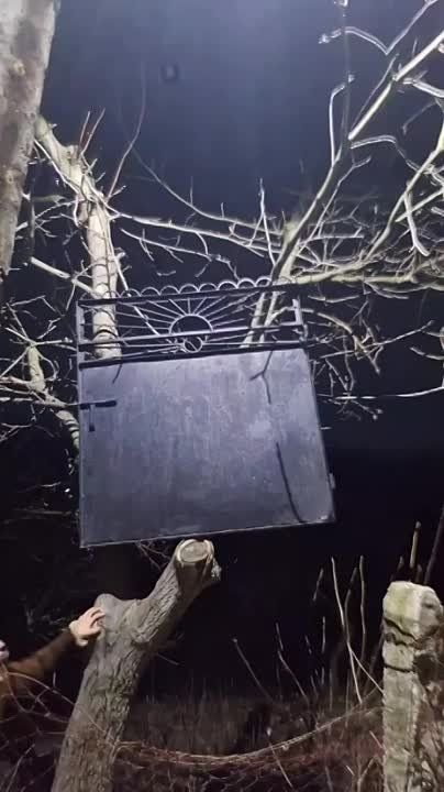 ���������� ����������� ���� ����� ���� ������ �� ������