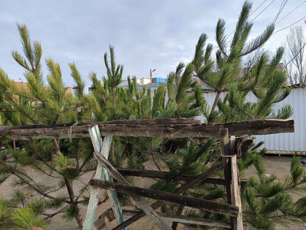 �� ���������� ������� ����� ��� ������� ���� � �����