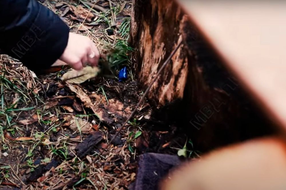 ���� ����������������� ���������� ��������� � ���������