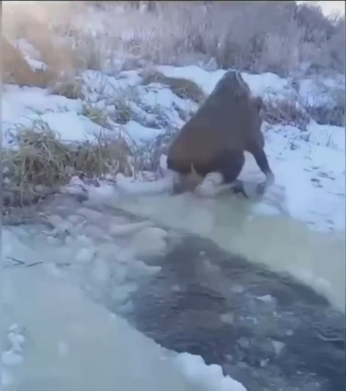 � ����������� ������� ������� �������� ������� ����, �������������� � ������� �� �����