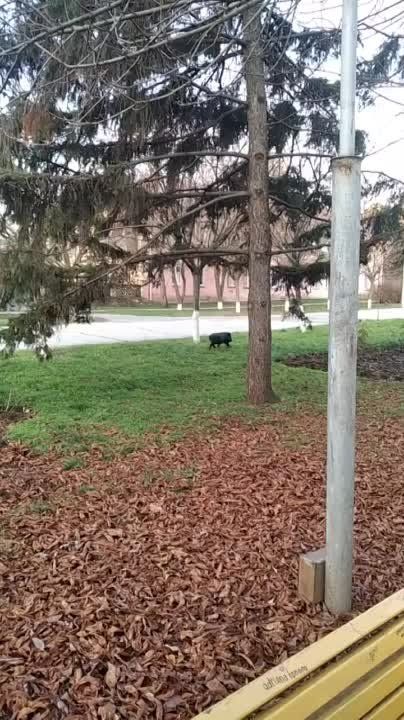 � ���������� �� ������� ������ ��������