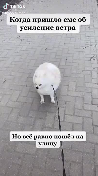 ������� � ������ ����� ������� ����� � �������� �� 16 ������ � �������