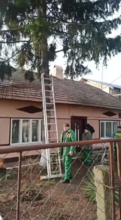 ���������� ������ �������� �������� ���� ������