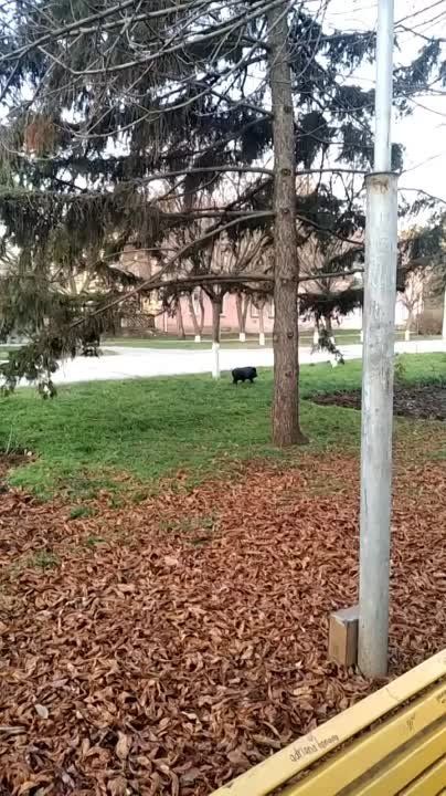 � ���������� ����� � ������ ������ ����� ������ ���������, � ������� ��������� �� - ��������