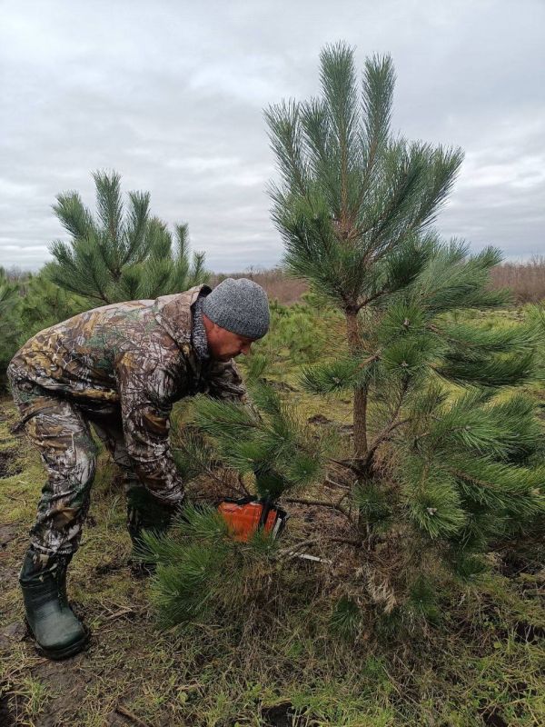 � ����� ������� ����� ������������� � ���������� ���������, ����� ���������