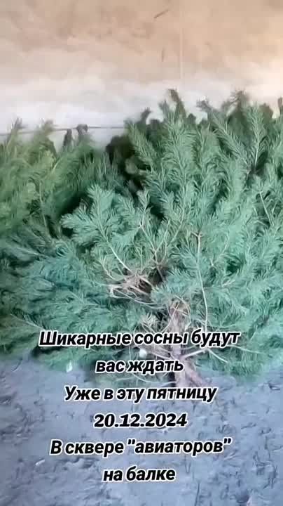 �������� ����� ���������� ����� � ���-����