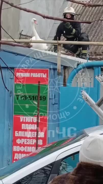 �������� ������ �������� ������